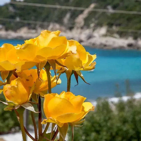 Kandria Golf&beach